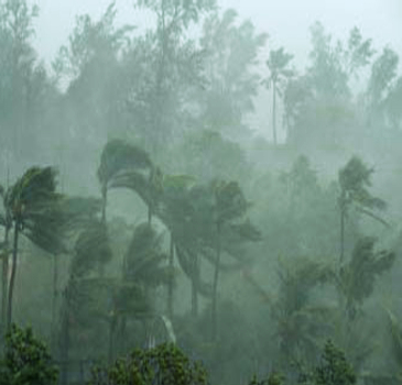 rain in rainy season