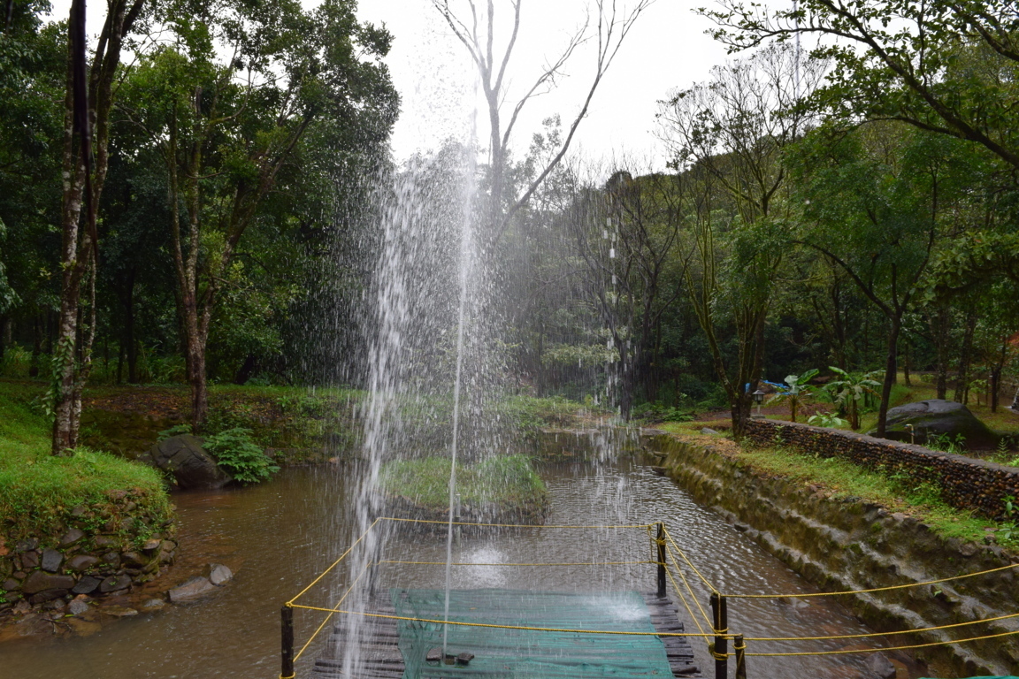 natural swimming pool in resort